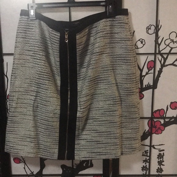 Ann Taylor size 16 Zipper in front skirt lined stripes hints of blue - Picture 1 of 6